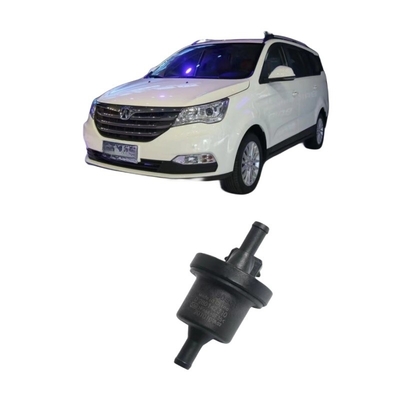 BAIC WEIWANG M35 306 307 M20 M30 205 206 M50F M35M60S50 Carbon Tank Solenoïde Valve