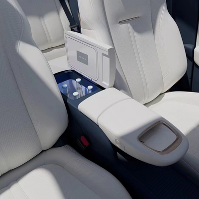 2023- Jaar ZEEKR X SUV 23.04- Drievoudig temperatuurgecontroleerde auto koelkast van Middle Island