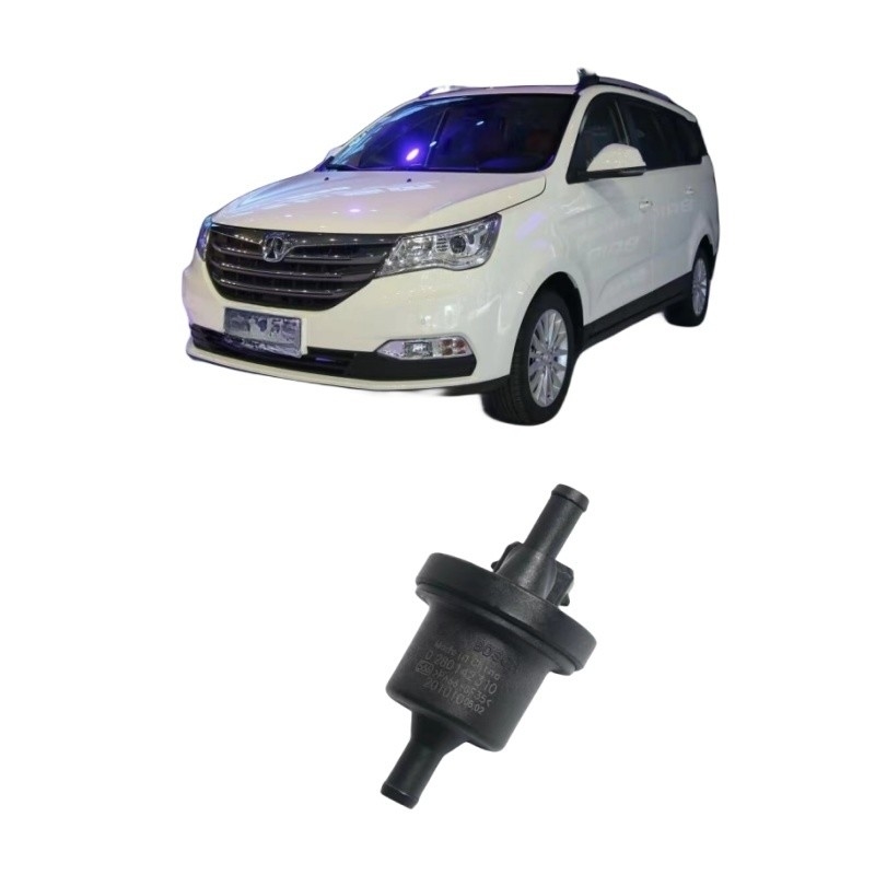 BAIC WEIWANG M35 306 307 M20 M30 205 206 M50F M35M60S50 Carbon Tank Solenoïde Valve