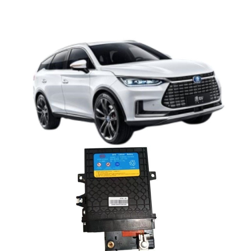 395*291*109mm Zwart BYD Tang EV Starter ijzeren batterij STEK-3703030 voor prestaties
