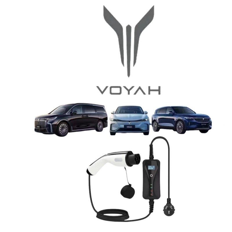 3/Y/S/X Plug-in Voyah Free EV Special Energy Charging Gun Pile Line voor het opladen van auto's
