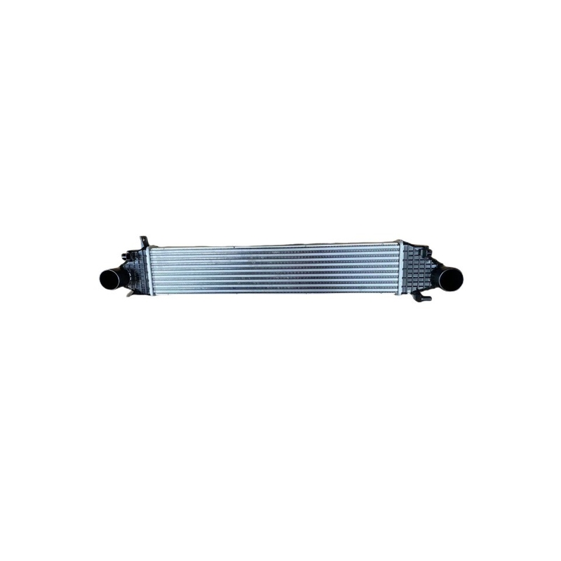 2020- Jaar Geschikt voor de Grote Muur Haval H6 GW4C20 Intercooler 1119130XGW01A 65*23*13